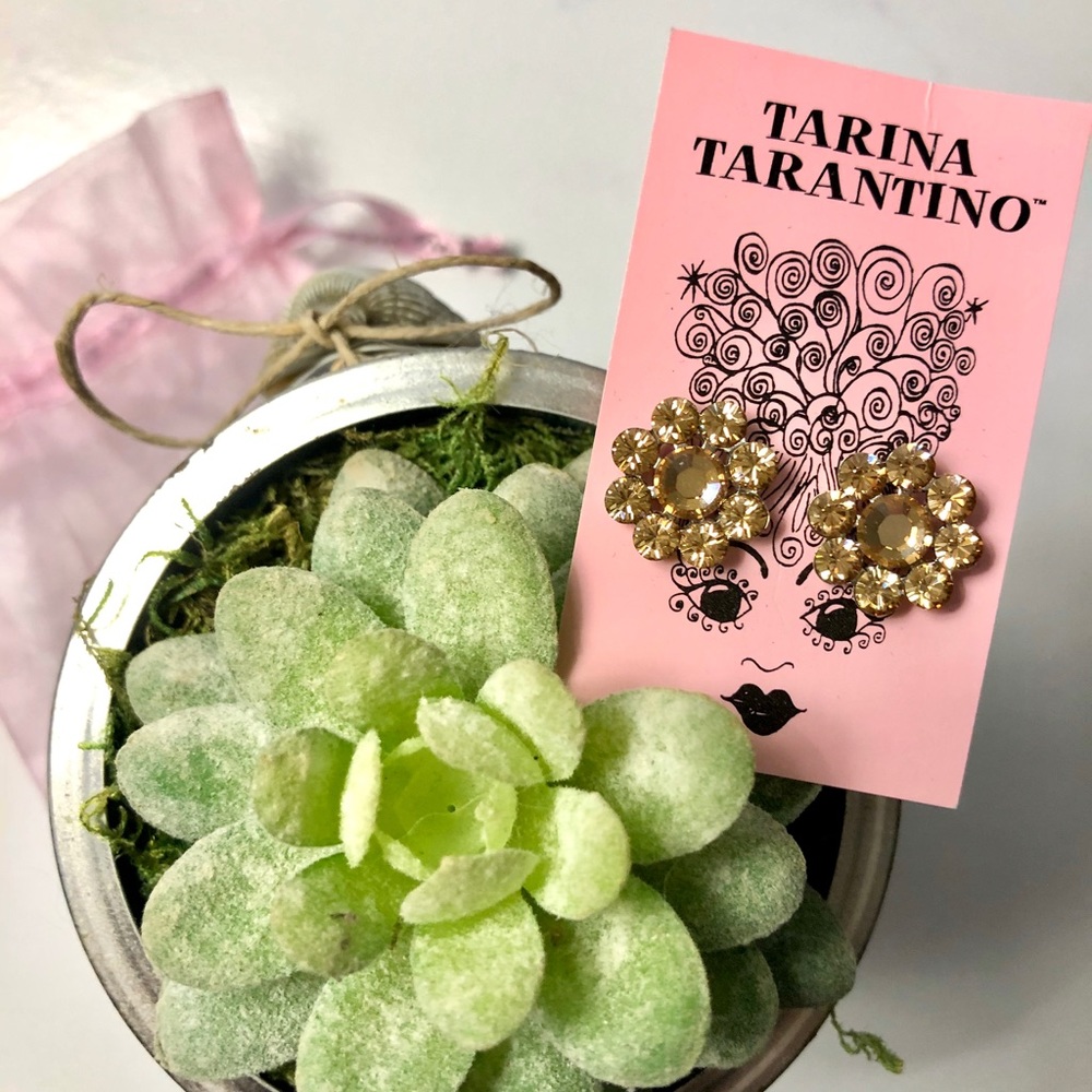 NWT, Tarina Tarantino Crystal Earrings